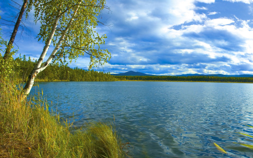 259390 (a): :2560x1600